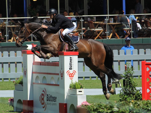 的防守系统 的防守系统