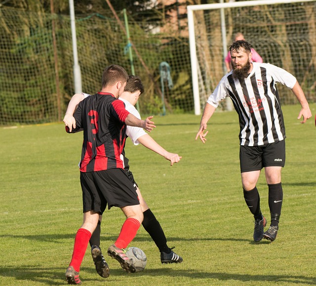 的智慧啟發 的智慧啟發