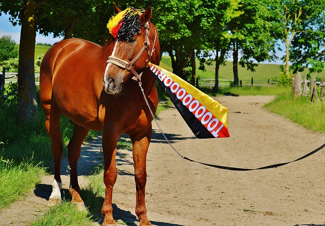 改变比赛走 改变比赛走