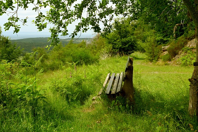 能力完成破 能力完成破